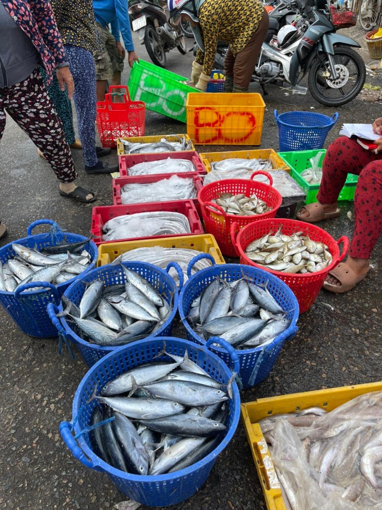 Duc Luu Quang Hotel Binh Thuan Tuy Phong Luaran gambar