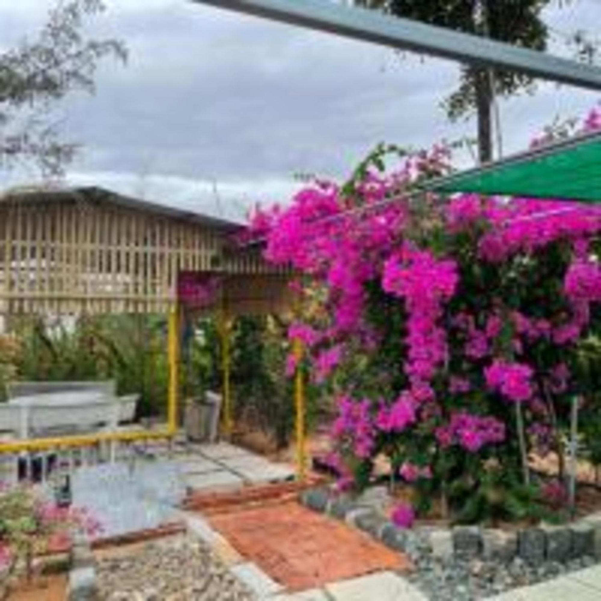 Duc Luu Quang Hotel Binh Thuan Tuy Phong Luaran gambar