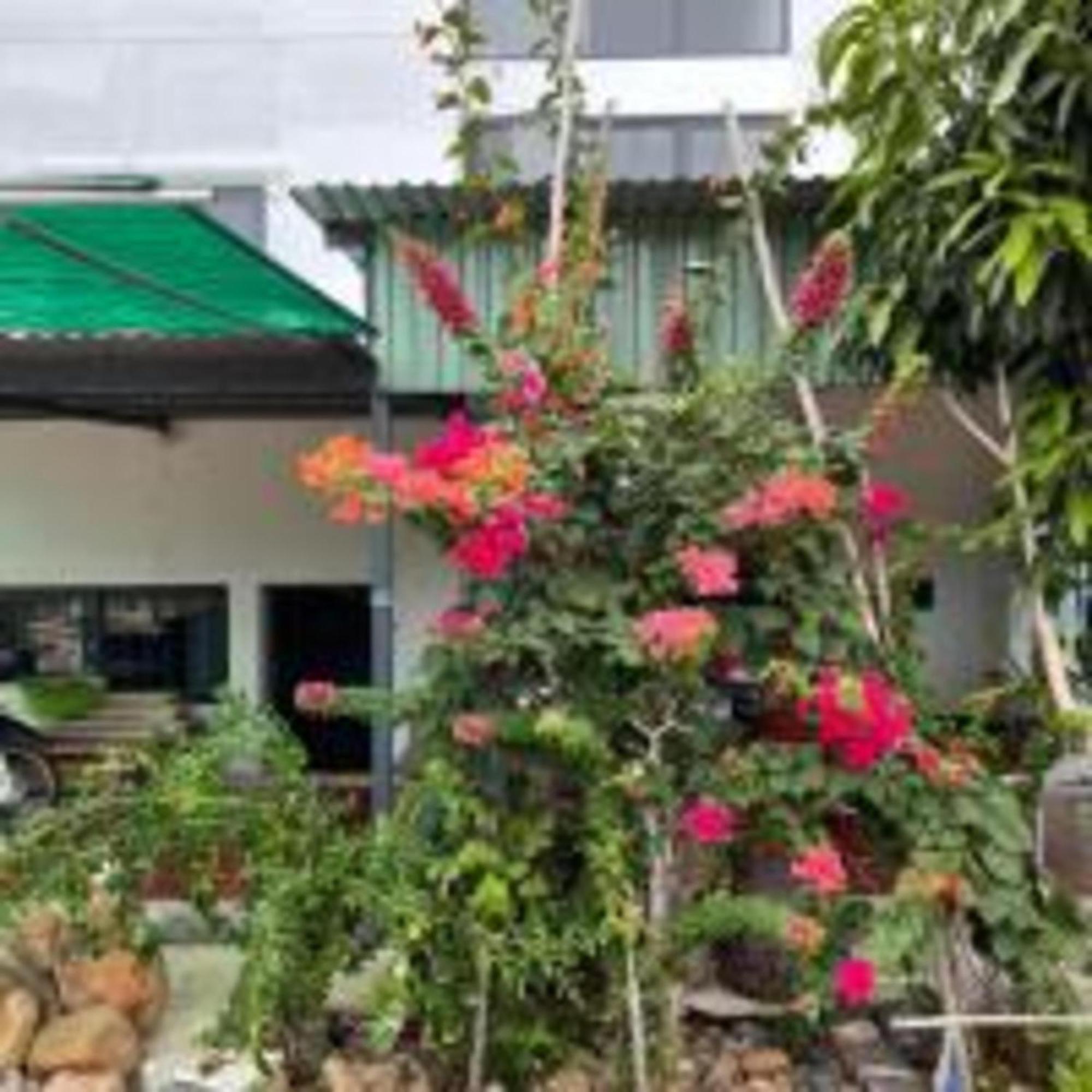 Duc Luu Quang Hotel Binh Thuan Tuy Phong Luaran gambar