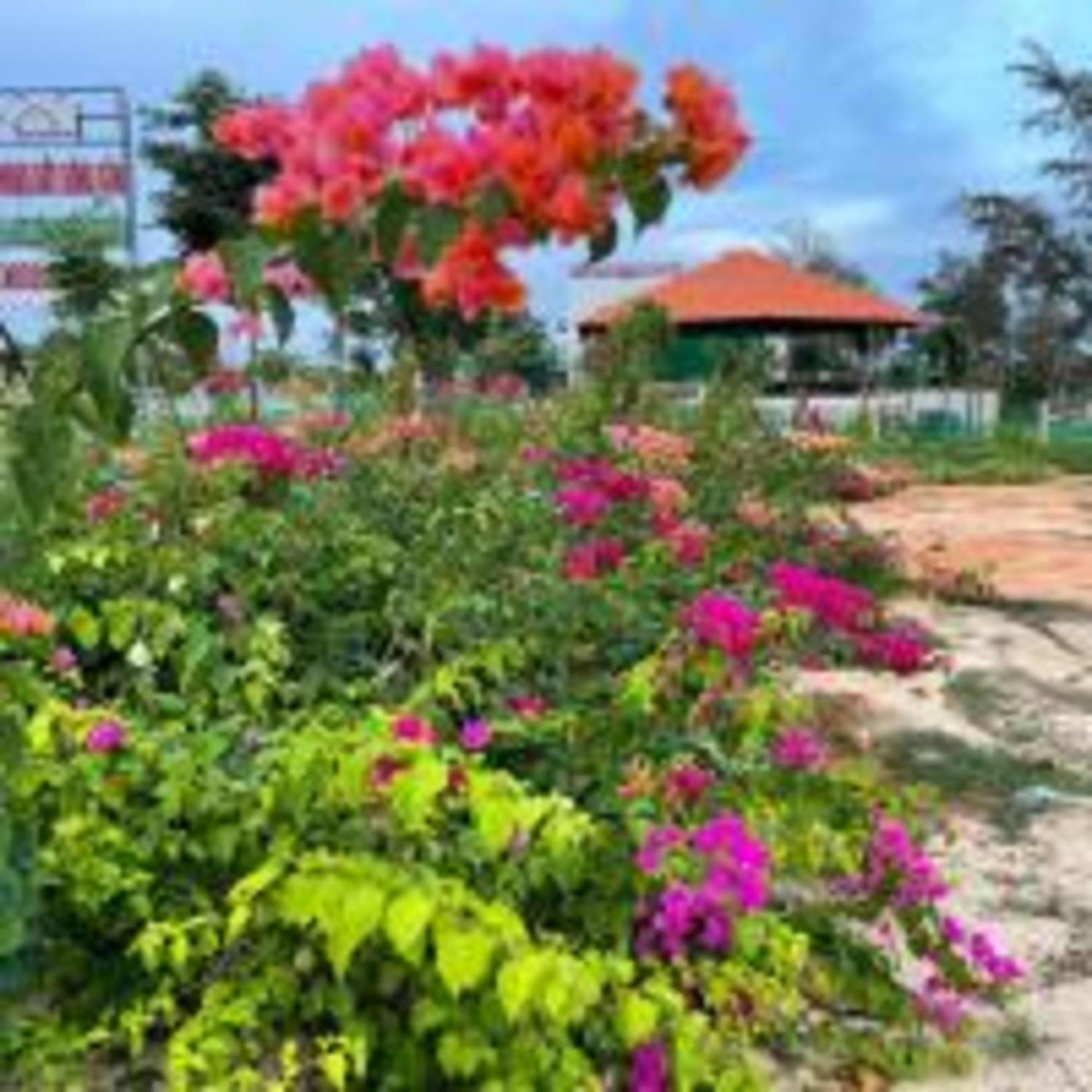 Duc Luu Quang Hotel Binh Thuan Tuy Phong Luaran gambar