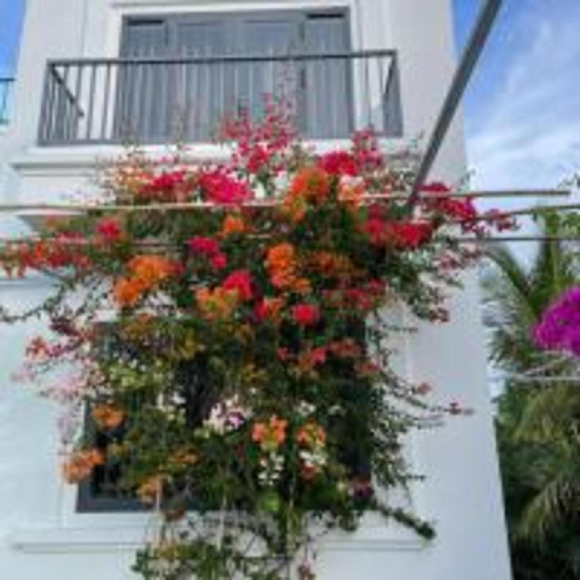 Duc Luu Quang Hotel Binh Thuan Tuy Phong Luaran gambar