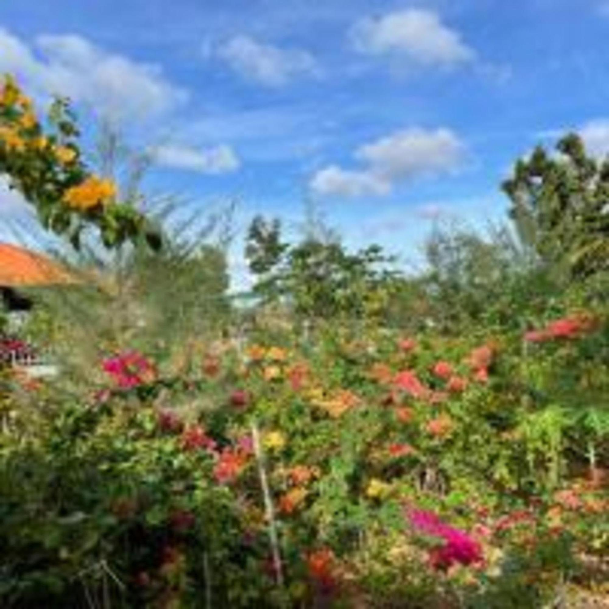 Duc Luu Quang Hotel Binh Thuan Tuy Phong Luaran gambar